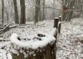 Highland County (USA). Picco di colori autunnali e nevicate