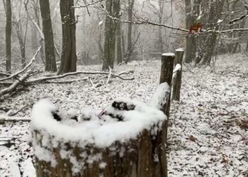 Highland County (USA). Picco di colori autunnali e nevicate